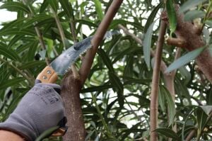 Kamikaze S-330H Profesyonel Budama Testeresi – 330 mm Kavisli Bıçak, SK-4 Japon Çeliği, Kılıflı