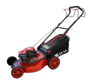 Ital LM51S Benzinli Çim Biçme Makinesi 51 cm 170 cc Şanzımanlı