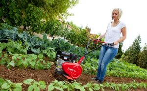 Pubert NANO 20R Benzinli Çapa Makinası 98cc 1 İleri 20/30/46 cm 24 cm Derinlik 26kg