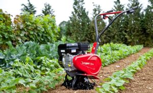 Pubert Nano 20R Benzinli Mini Çapa Makinası