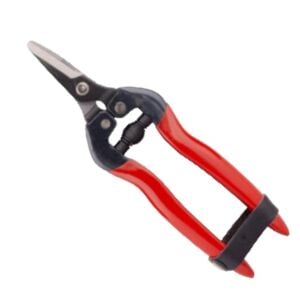 Palmera SP16C Meyve Toplama Makası